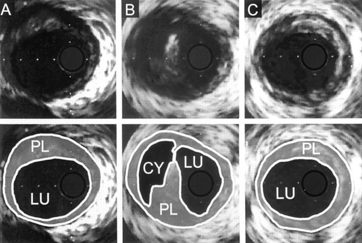 Figure 1  