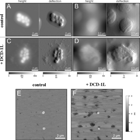 FIGURE 3.