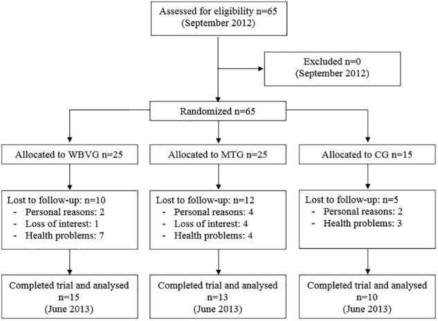 FIGURE 1