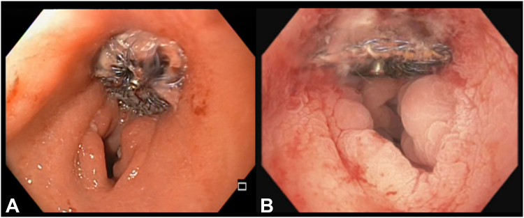 Figure 7