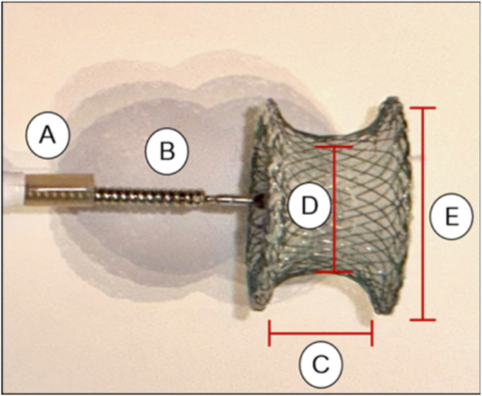 Figure 1