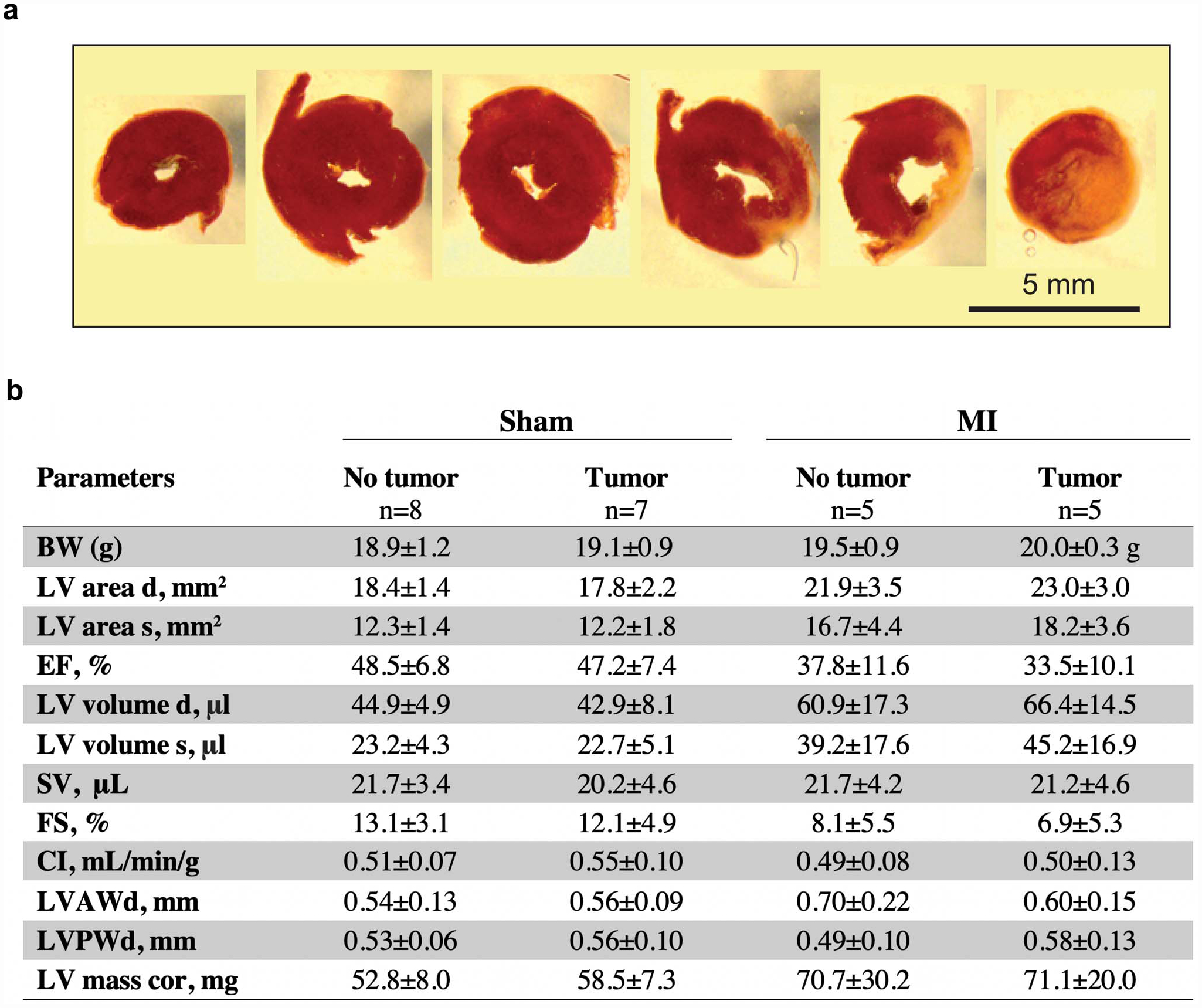 Extended Data Fig. 1