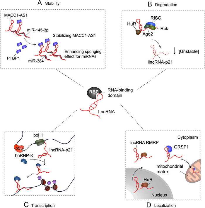 FIGURE 2