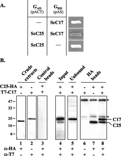 FIG. 5.