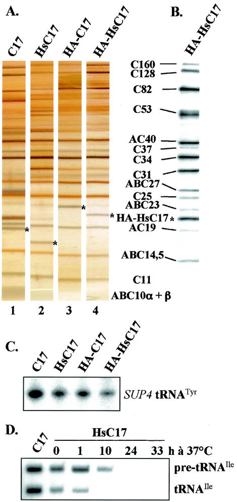 FIG. 3.
