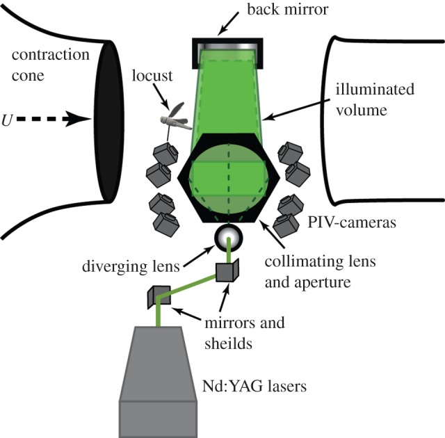 Figure 1.