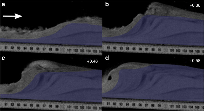 Fig. 7