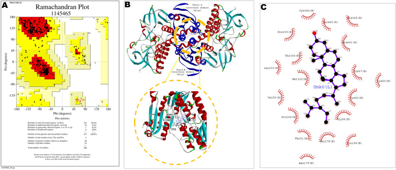 Figure 9