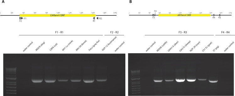 Fig 10