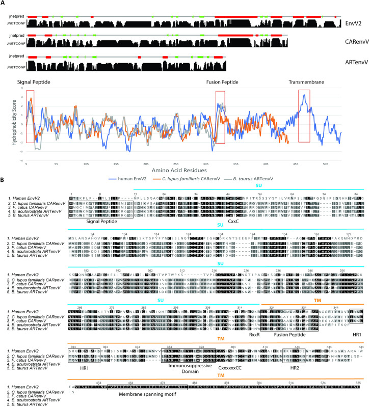 Fig 6