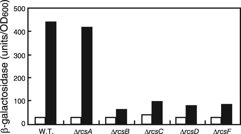 Fig 5