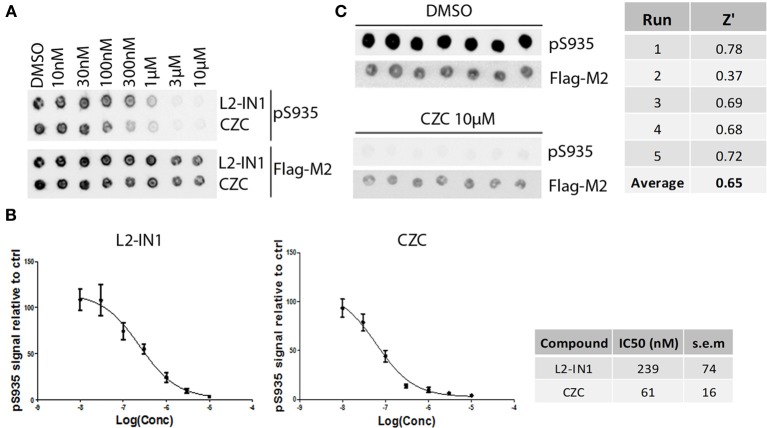 Figure 4