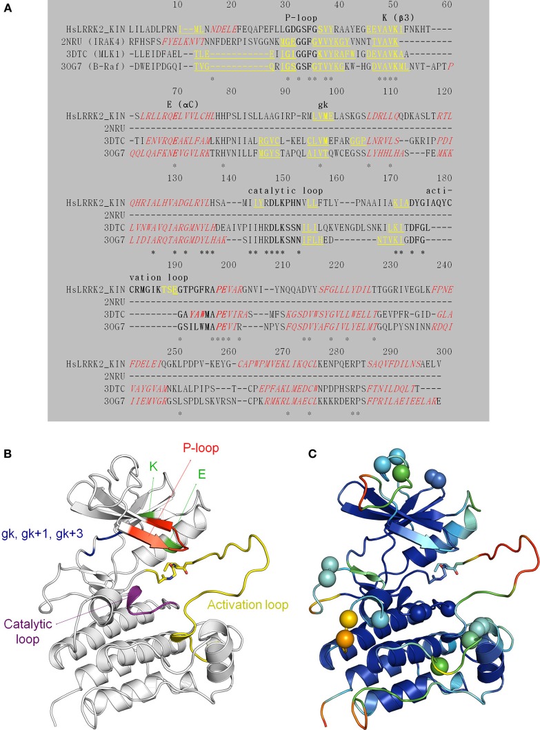 Figure 6