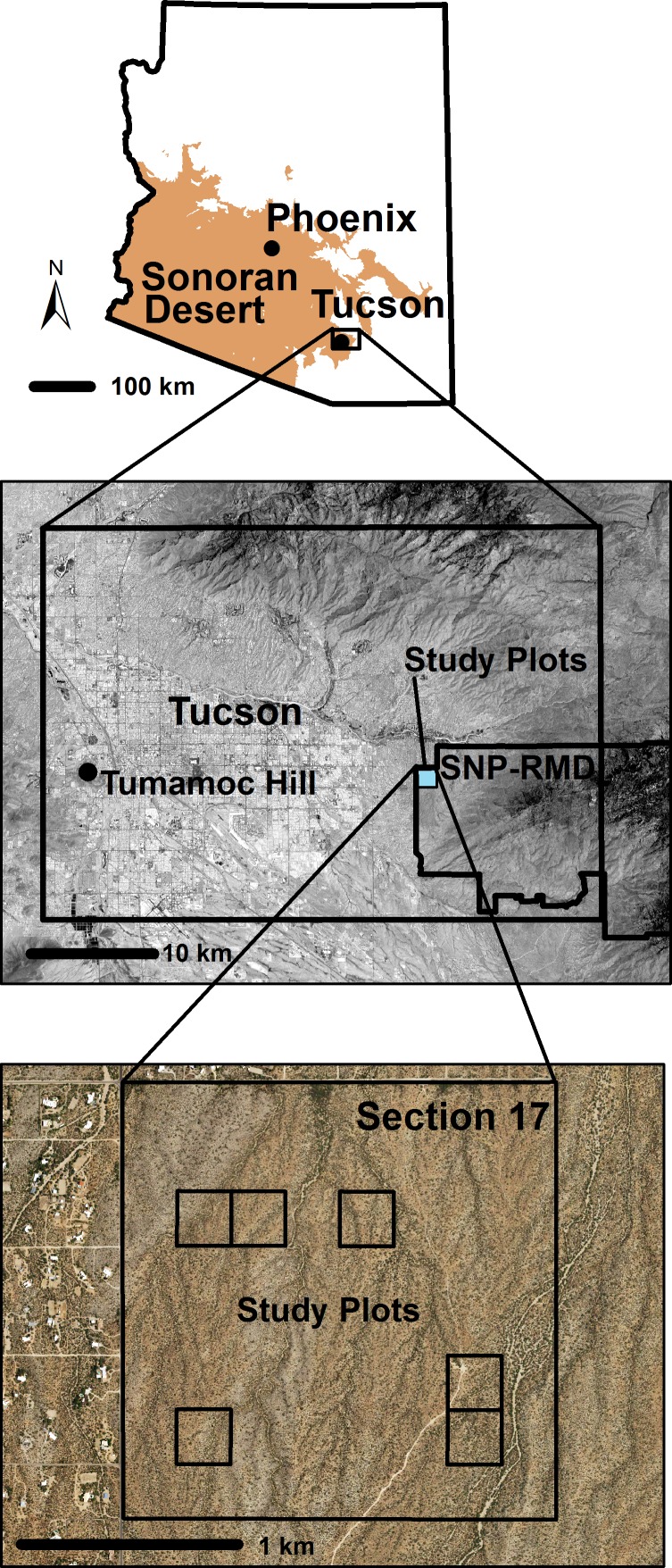 Fig 1