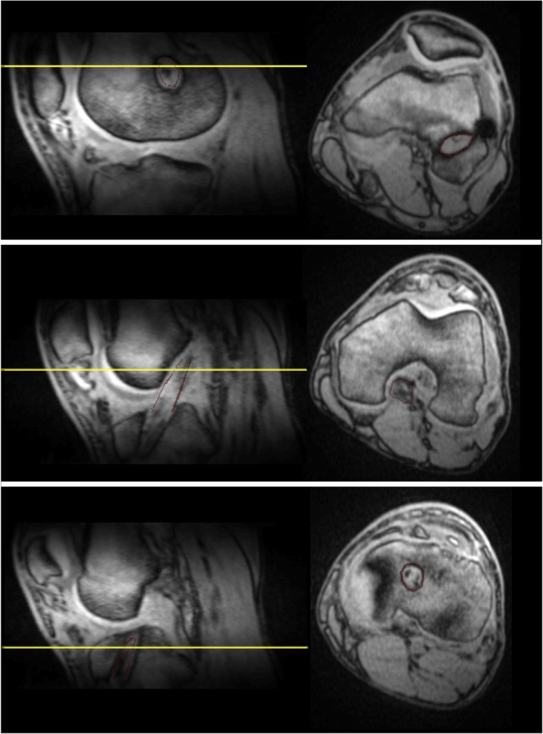 Fig. 5