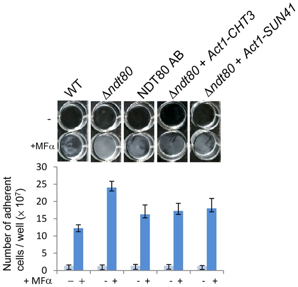 Figure 7