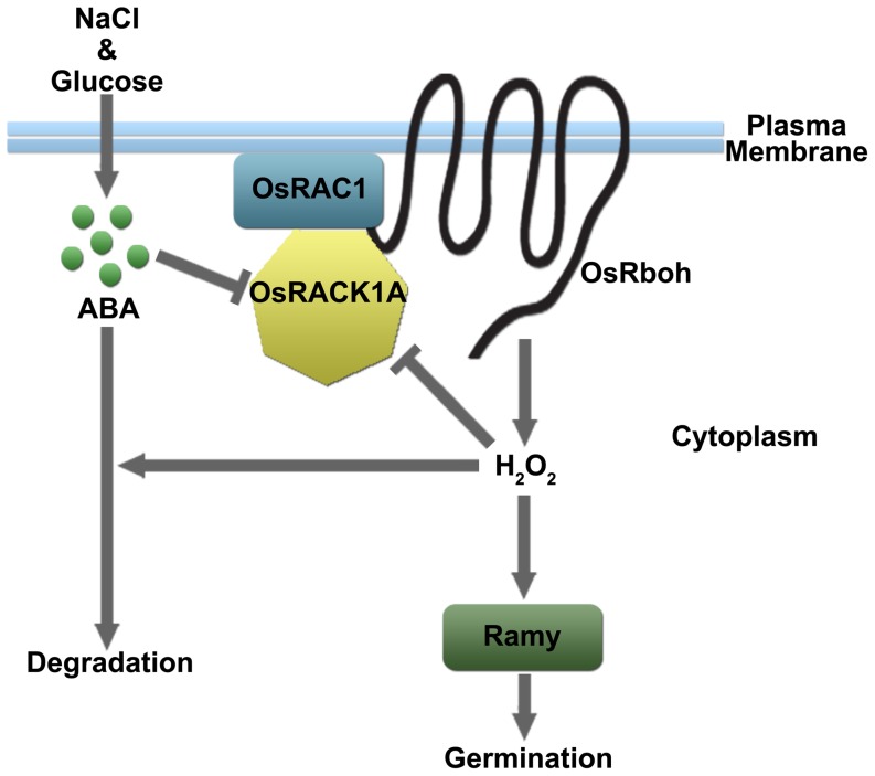 Figure 9