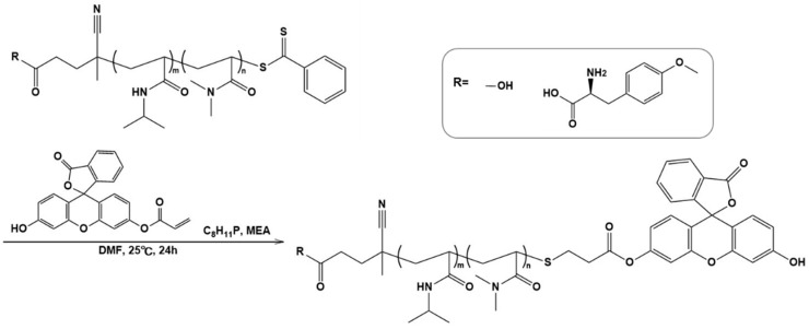 Scheme 2