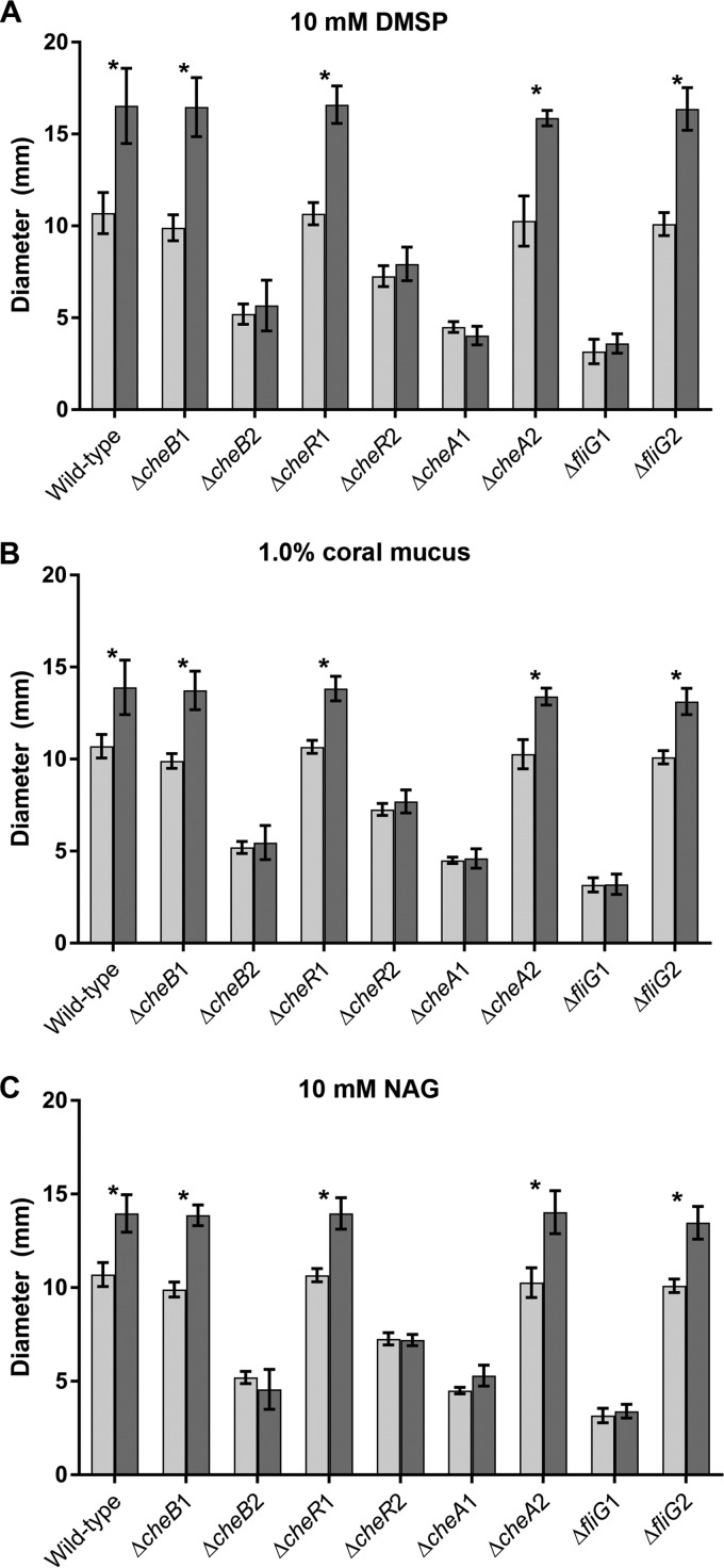 FIG 2