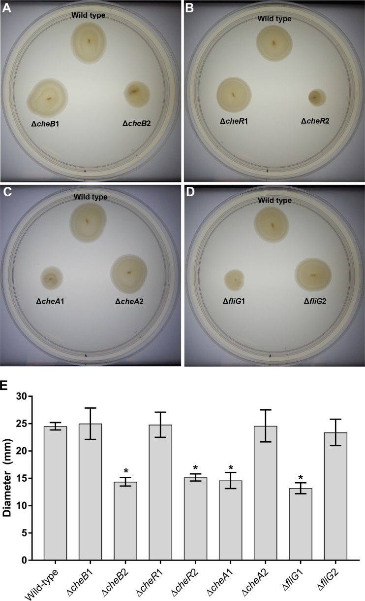 FIG 1