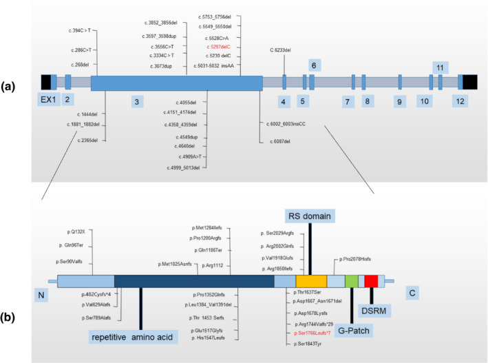 FIGURE 1