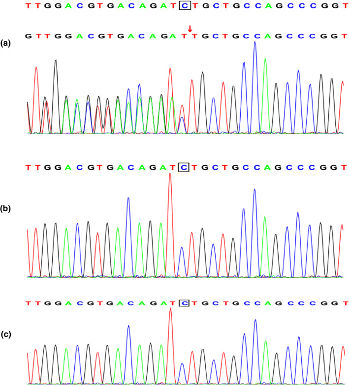 FIGURE 3