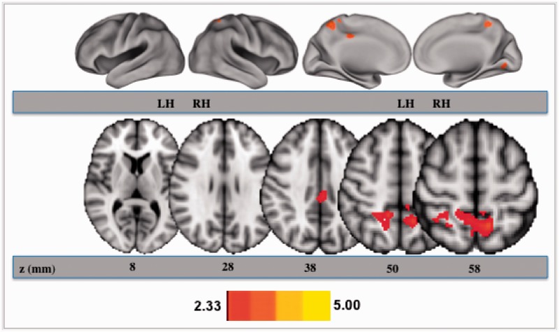 Fig. 2