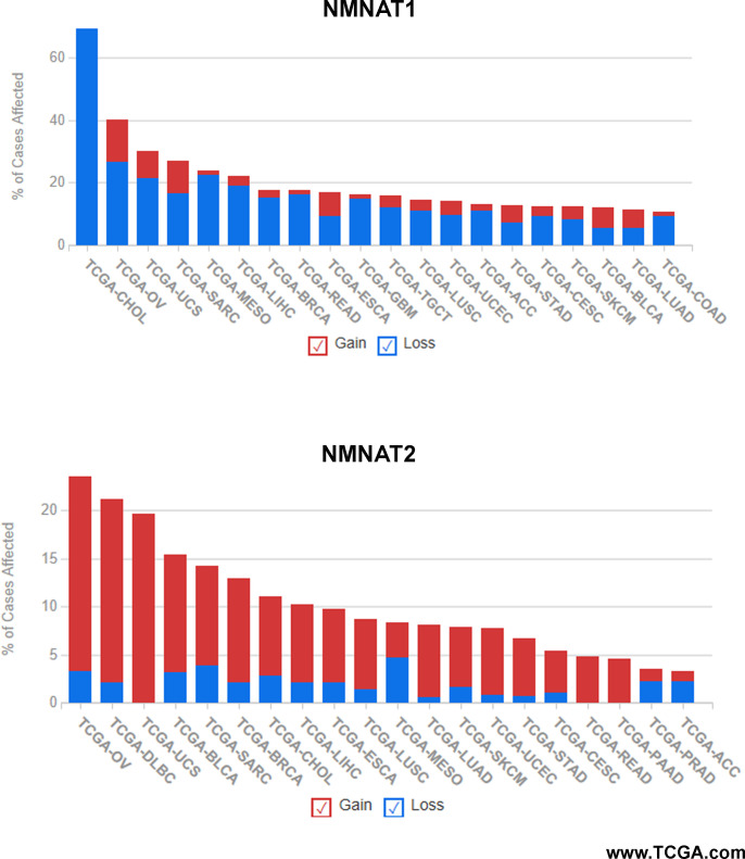 Figure 11—figure supplement 1.