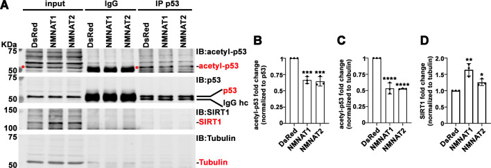 Figure 10.