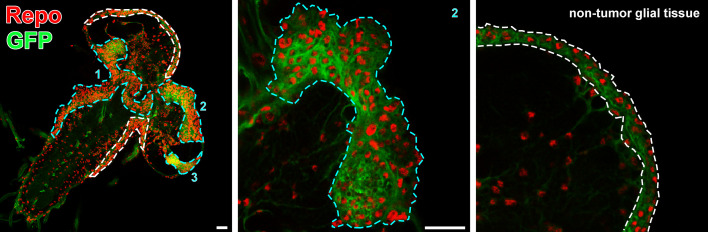 Figure 1—figure supplement 1.