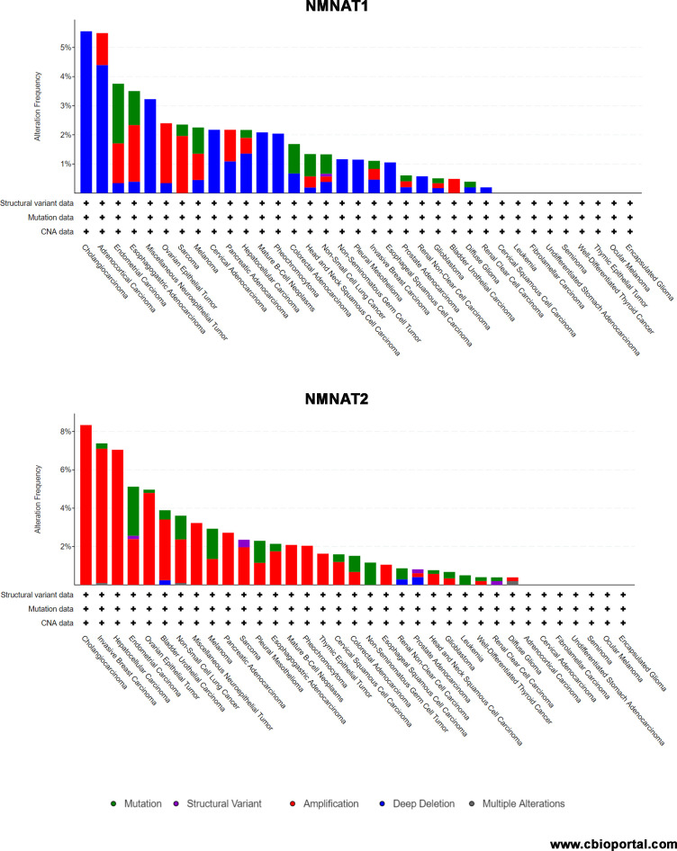 Figure 11—figure supplement 2.