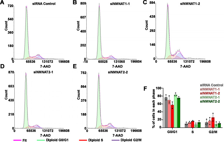 Figure 3—figure supplement 2.