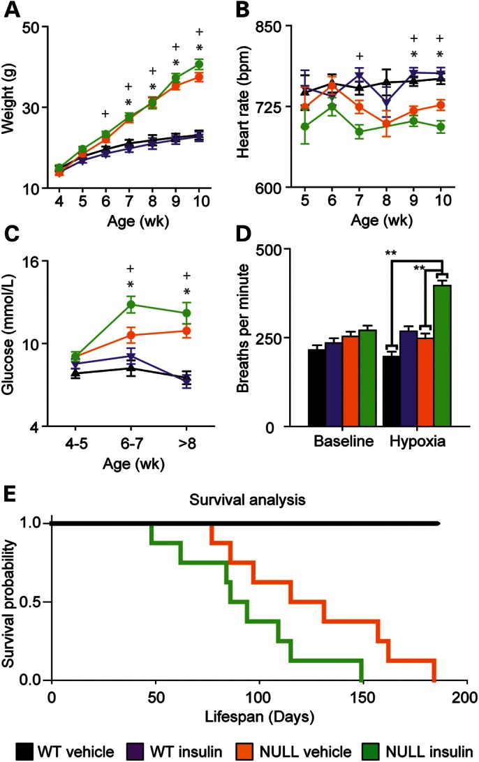 Figure 4.