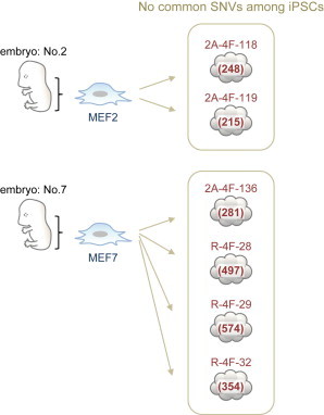 Figure 5