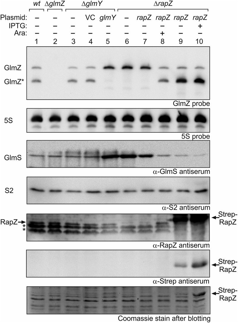 Figure 1.