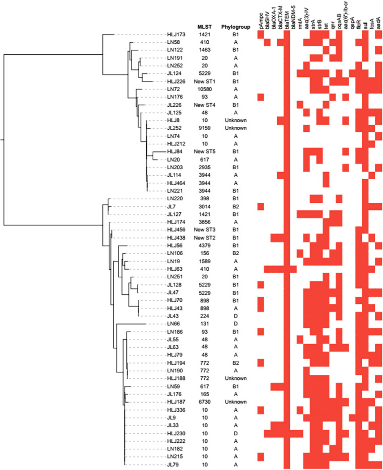 FIGURE 2