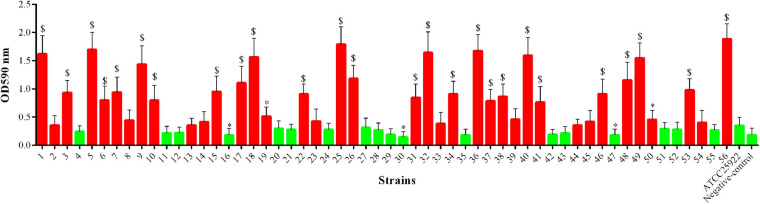 FIGURE 5