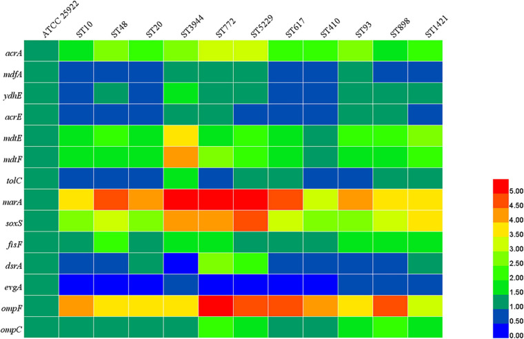 FIGURE 4