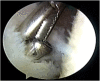 Fig 7
