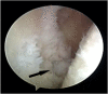 Fig 9