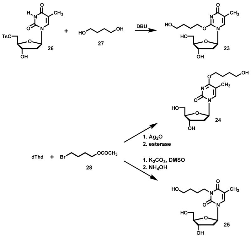 Scheme 2