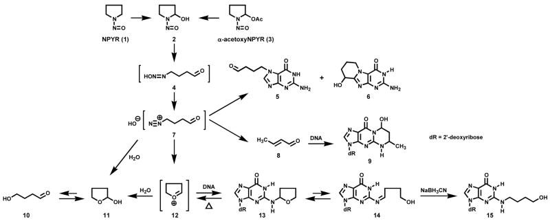 Scheme 1