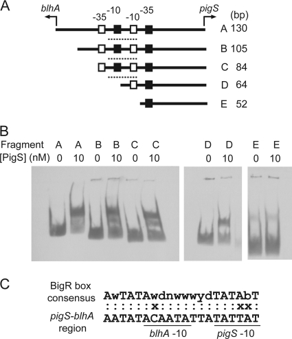 FIG. 8.