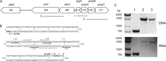 FIG. 2.