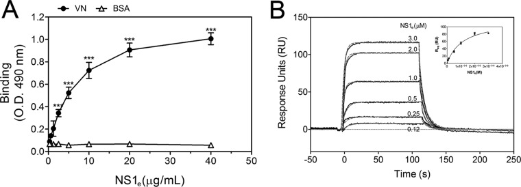 FIG 2