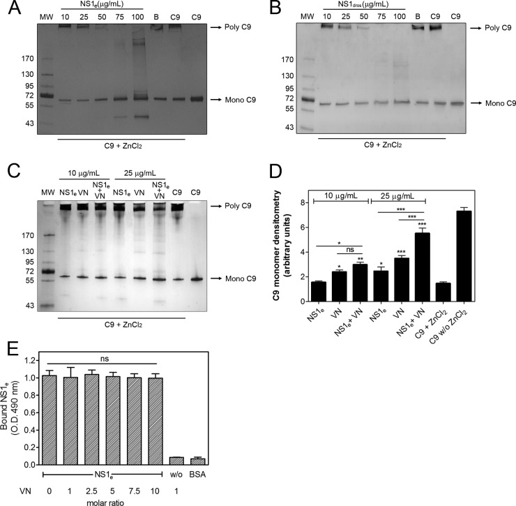 FIG 6