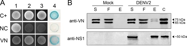 FIG 1