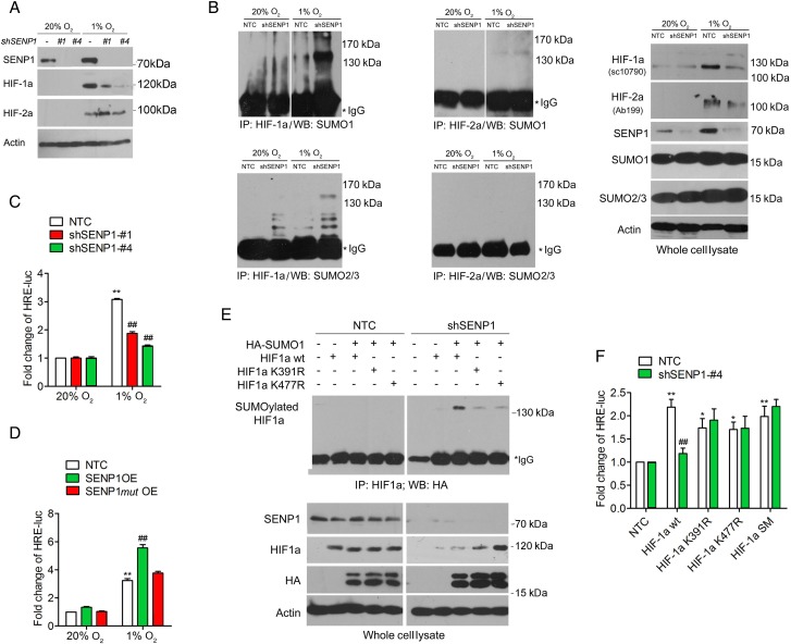 Figure 6