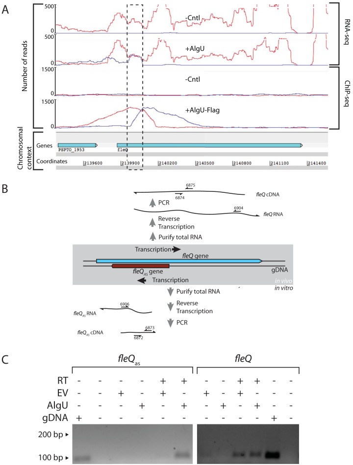 FIG 1