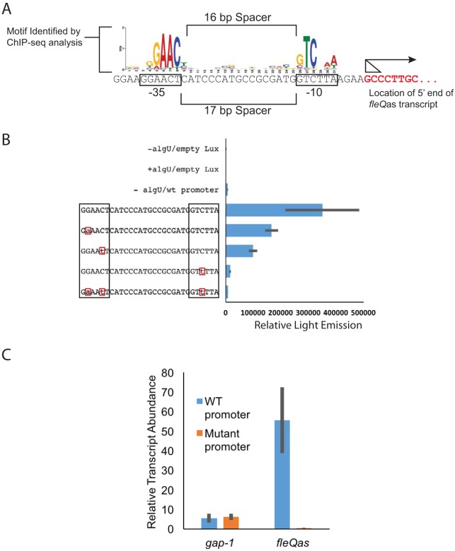 FIG 3